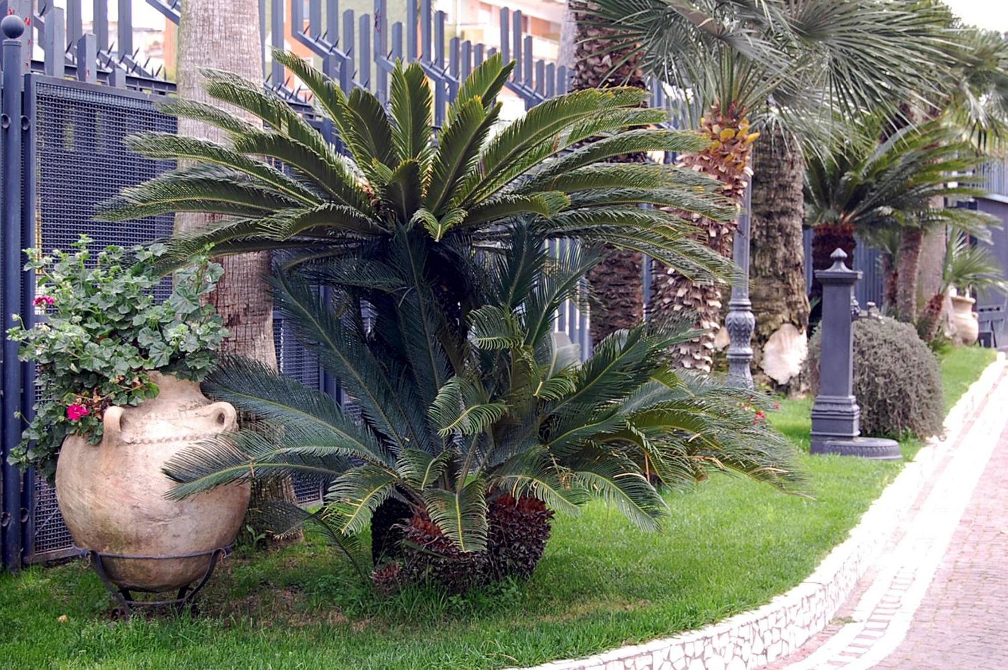Hotel Ristorante Donato Calvizzano Bagian luar foto